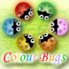  เกมส์ขับยาน-Colour Bugs