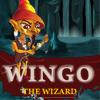 Wingo - เกมส์ผจญภัย